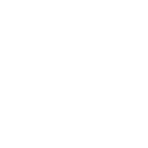 Bullet Dance