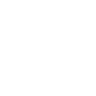 Fire Scarabs
