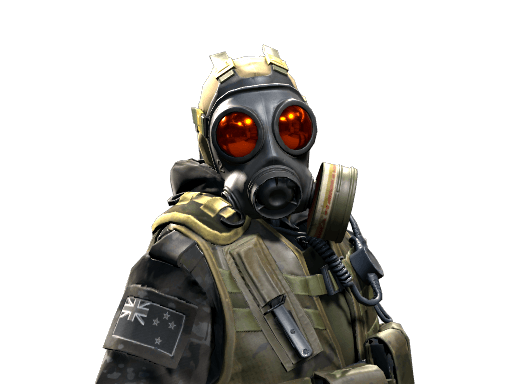 D Squadron Officer (NZSAS)