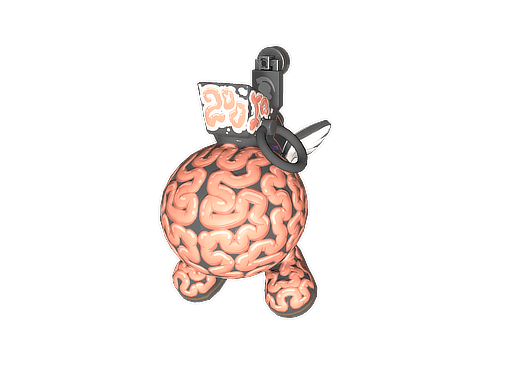 Big Brain