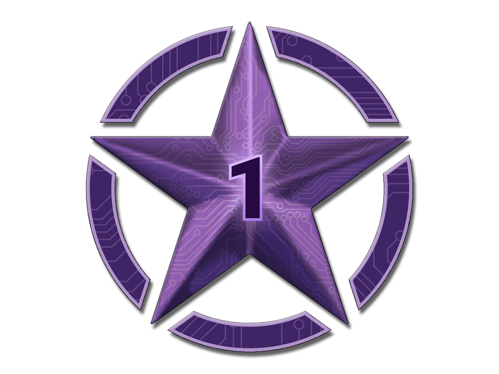 1 Star for Operation Shattered Web