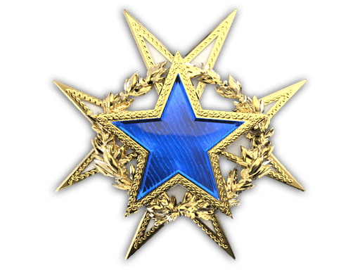 2015 Service Medal