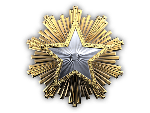 2016 Service Medal