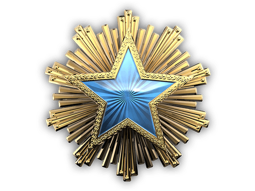 2016 Service Medal