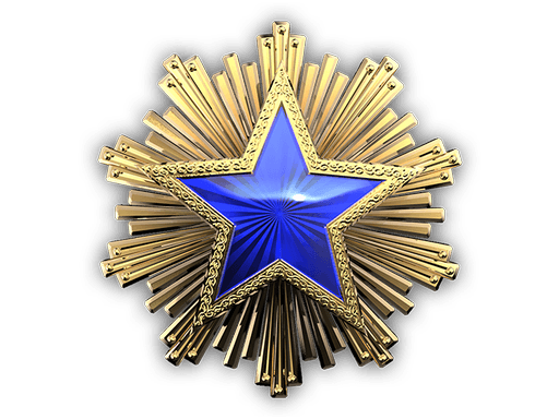 2016 Service Medal