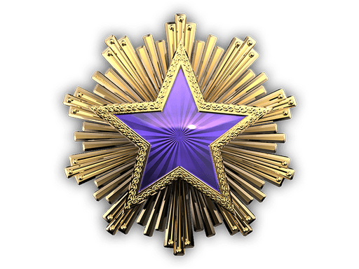 2016 Service Medal