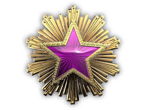 2016 Service Medal