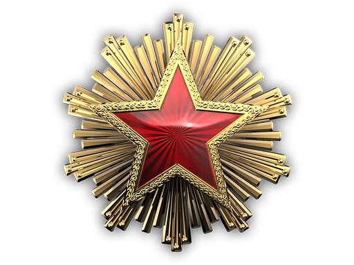 2016 Service Medal