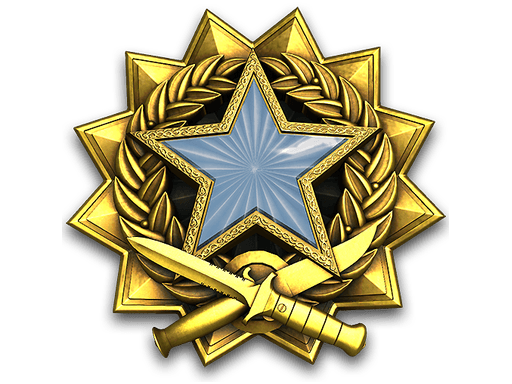 2017 Service Medal
