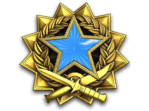 2017 Service Medal