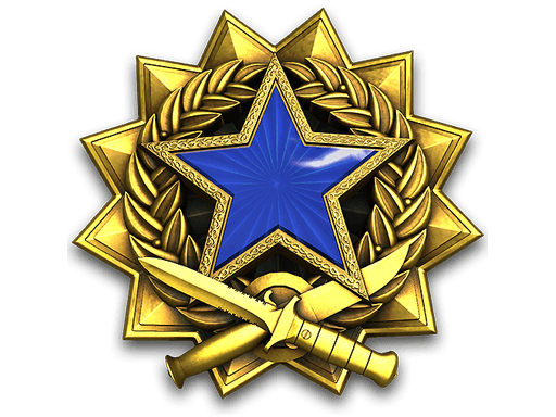 2017 Service Medal