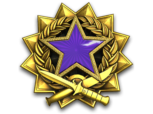 2017 Service Medal