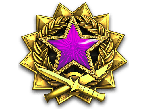 2017 Service Medal
