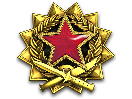 2017 Service Medal