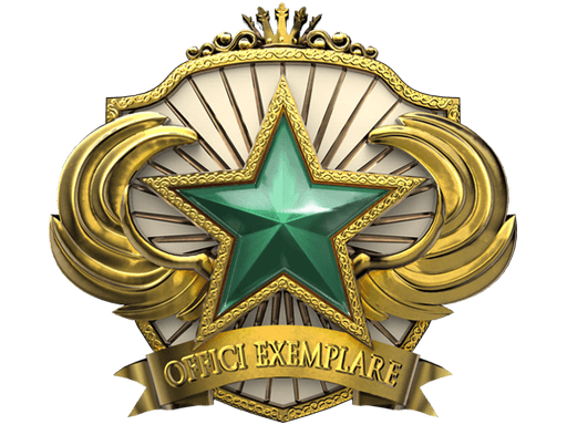 2018 Service Medal