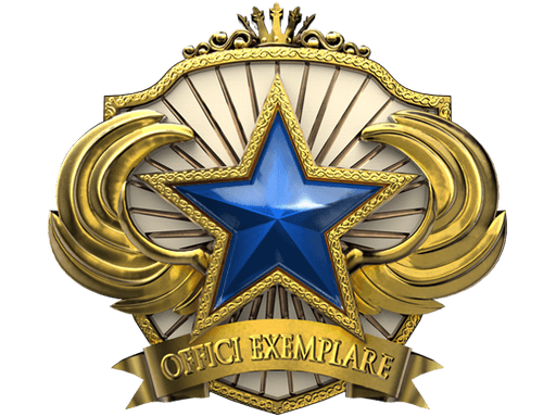 2018 Service Medal