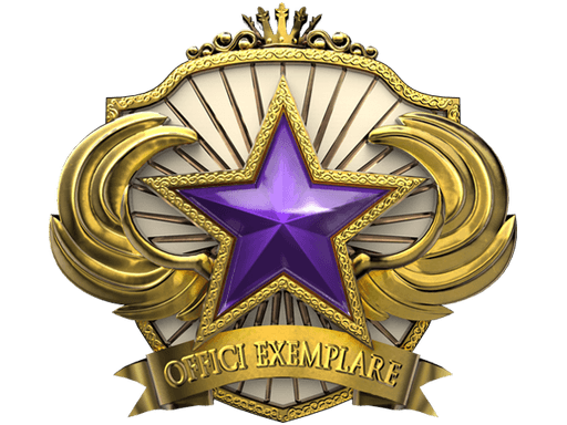 2018 Service Medal