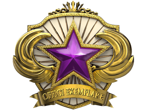 2018 Service Medal