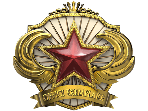 2018 Service Medal