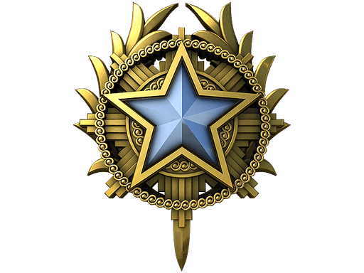 2020 Service Medal