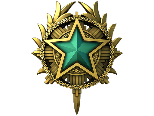 2020 Service Medal