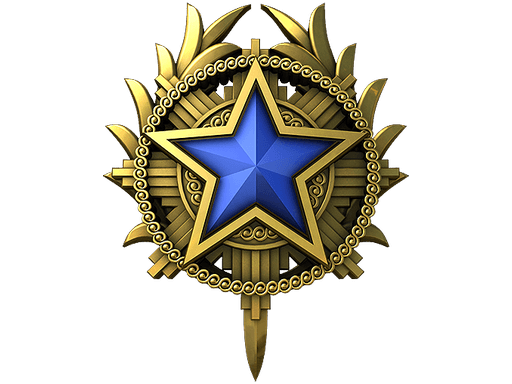 2020 Service Medal