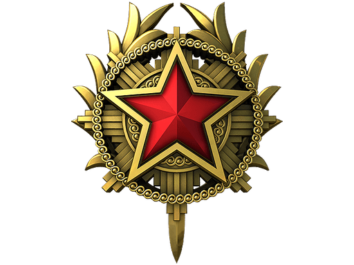 2020 Service Medal