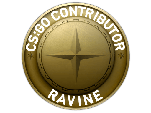 Ravine Map Coin