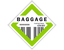 The Baggage Collection