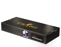 DreamHack 2014 Cobblestone Souvenir Package
