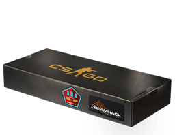 DreamHack 2014 Mirage Souvenir Package