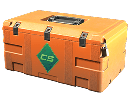 Gallery Case