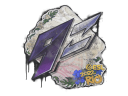 9z Team
