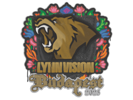 Lynn Vision