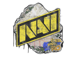 Natus Vincere