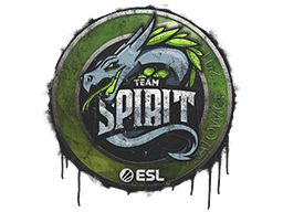 Team Spirit