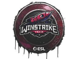Winstrike Team