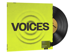 ShockOne, Voices