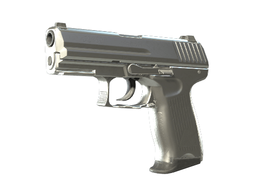 P2000 (Silver)