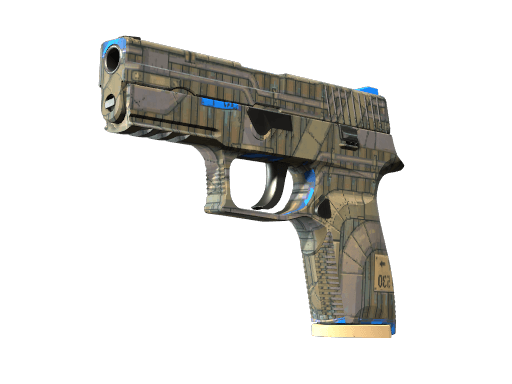 P250 (Exchanger)