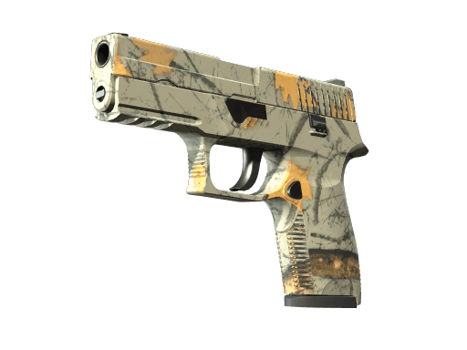P250 (Modern Hunter)