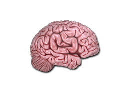CS On The Mind