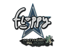 floppy Antwerp 2022