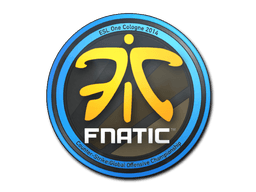 Fnatic Cologne 2014
