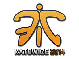 Fnatic Katowice 2014