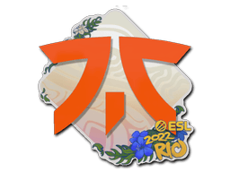 Fnatic Rio 2022