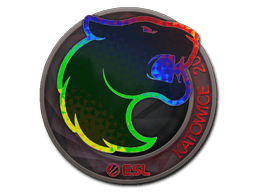 FURIA (Holo) Katowice 2019