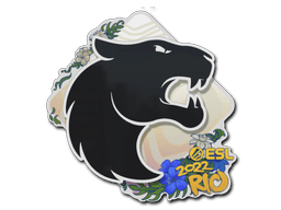 FURIA Rio 2022