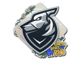 Grayhound Gaming Rio 2022