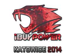 iBUYPOWER (Holo) Katowice 2014
